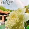 mai_trang9486