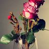 mnosh_m