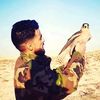 al_aribi_