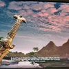 jasonbrody069