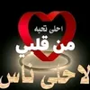 youssefelgazzali