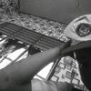 ejha.kurniawan