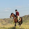 lazo.haval