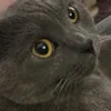 jessicatrudie13