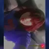 acoraima_2803