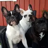 alvaanderssn