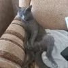 xz_kto74