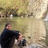 liorpereg_