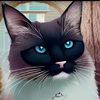 kittycatz45