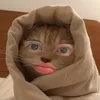 heylbee