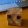tinyviking