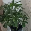 apartamento404meunovolar