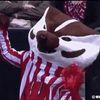 badgersgoat101