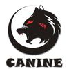 canine_codm