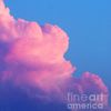 the_dude_in_the_clouds