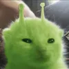 kleyyyey