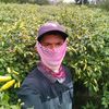 haliktabudarat1