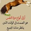 user8010811100581