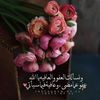 mozana26