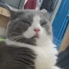 chinchin9922