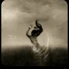 a_vampireslament
