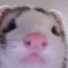 beansontoastvevo