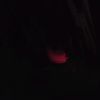 user_92939484