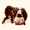 miloboyandamber