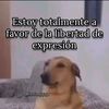 andiperez34