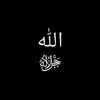 mhadfahri12