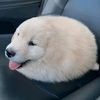 innerlightlol