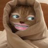 notyoourtypee
