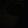 aulo_879