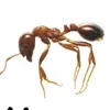 user07fux9iuo5