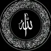 user462473261