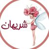 sheryhassan6