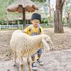 ankids11