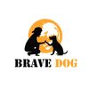 bravedogacademy