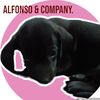 alfonsoandcompany