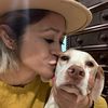 Just A Girl Saving Dogs