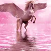 unicorno224