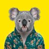 queensland