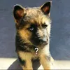 yici_007.0