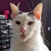 joannenelson73