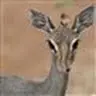 kthnxbye2