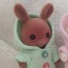 _ferny.5