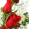 user6054300691180