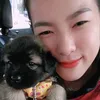 hoa_sap_nguyen_han