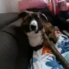 sofiacapitano