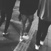 kai_12118